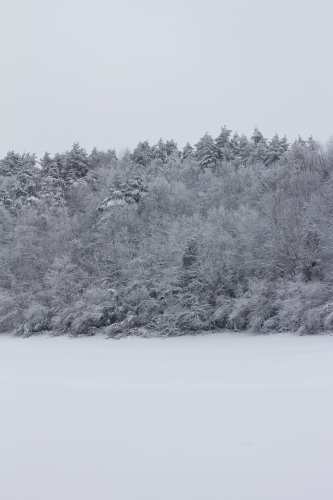2015-02-01 17.26.37