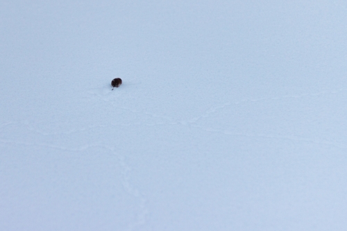 2015-02-01 19.08.11