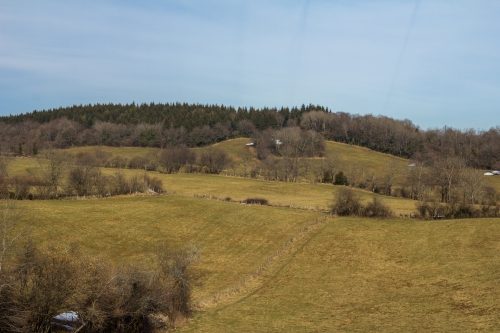 2015-03-07 16.55.08